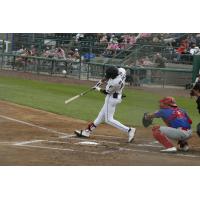 Tri-City Dust Devils' Werner Blakely at bat