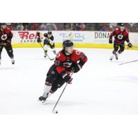 Forward Patrick Polino with the Cincinnati Cyclones