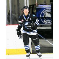 Wenatchee Wild's Kenta Isogai