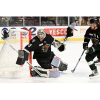 Goaltender Dante Giannuzzi with the Utah Grizzlies