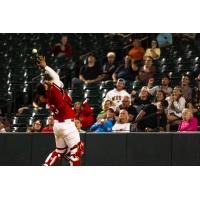 Fargo-Moorhead RedHawks catcher Juan Fernandez