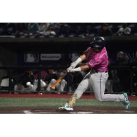 Pensacola Blue Wahoos at the plate