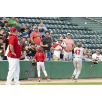 Michael Hallquist of the Fargo-Moorhead RedHawks prepares to catch a foul ball