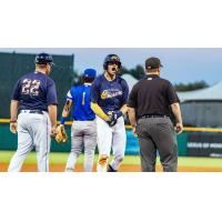 Montgomery Biscuits on game night