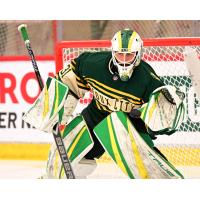 Sioux City Musketeers goaltender Samuel Urban