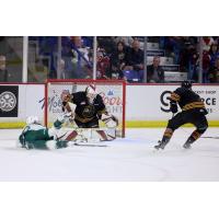 Vancouver Giants goaltender Brett Mirwald