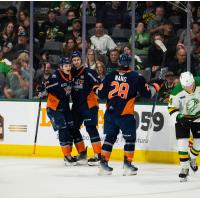 Flint Firebirds on game night