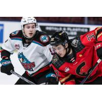 Brett Calhoon of the Kelowna Rockets (left)