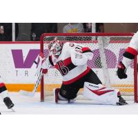 Belleville Senators goaltender Michael Simpson