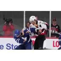 Belleville Senators defenceman Djibril Toure mixes it up with the Toronto Marlies