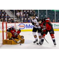 Vancouver Giants goaltender Burke Hood stops a shot