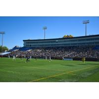 A big crowd attends a Chattanooga Football Club match