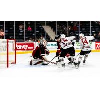 Vancouver Giants goaltender Matthew Hutchison makes a stop against the Red Deer Rebels