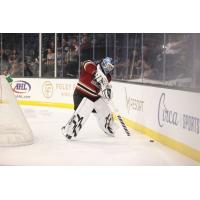 Tucson Roadrunners goaltender Jaxon Stauber