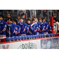 Kitchener Rangers watch the action