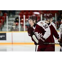 Peterborough Petes' Adam Levac