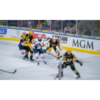 Springfield Thunderbirds look for a score against the Wilkes-Barre/Scranton Penguins