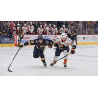 Erie Otters' Keagan Knight versus Flint Firebirds' Cole Zurawski