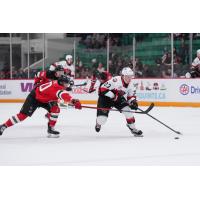 Belleville Senators' Cole Reinhardt battles the Utica Comets