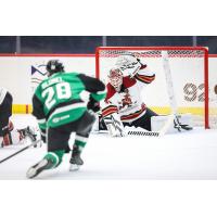 Tucson Roadrunners goaltender Jaxson Stauber vs. the Texas Stars