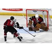 Vancouver Giants goaltender Burke Hood