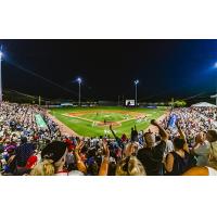 Charleston RiverDogs fans enjoy a game at Joseph P. Riley, Jr. Park