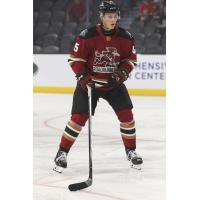 Tucson Roadrunners forward Noel Nordh