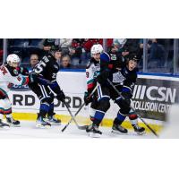 Victoria Royals battle the Kelowna Rockets