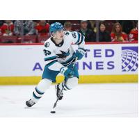 Defenseman Calen Addison with the San Jose Barracuda