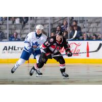 Toronto Marlies' Jacob Quillan and Belleville Senators' Keean Washkurak on the ice