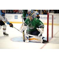 Florida Everblades goaltender Will Cranley makes a stop