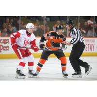 Grand Rapids Griffins' Jakub Rychlovsky and Lehigh Valley Phantoms' Anthony Richard on game night