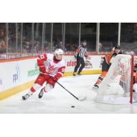 Grand Rapids Griffins' Amadeus Lombardi in action