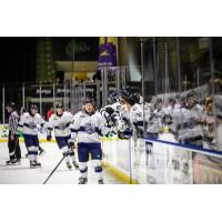 Worcester Railers received congratulations from the bench