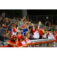 Ottawa Titans fans enjoy a game