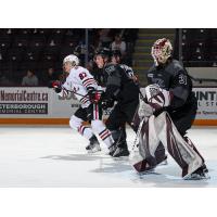 Peterborough Petes goaltender Zach Bowen and defenceman Carson Cameron vs. the Niagara IceDogs