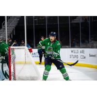 Florida Everblades defenseman Sean Allen