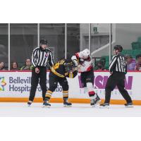 Belleville Senators fight with the Providence Bruins