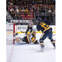 Brantford Bulldogs' Ryerson Leenders and Erie Otters' Malcolm Spence in action