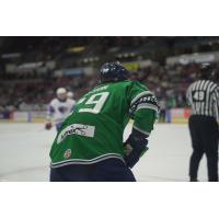 Florida Everblades' Adrien Bisson on game night