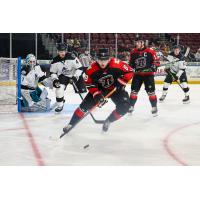 Rapid City Rush's Joe Widmar in action