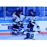 Wichita Thunder celebrate win