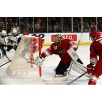 Allen Americans goaltender Anson Thornton extends to make a save