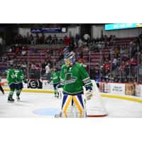 Florida Everblades' Will Cranley on game night