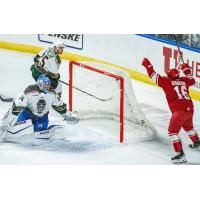 Utah Grizzlies' Cole Gallant and Adam Scheel and Allen Americans' Kyle Crnkovic in action