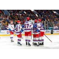 Kitchener Rangers gaterh following a goal