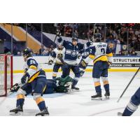 Worcester Railers react after a goal against the Norfolk Admirals