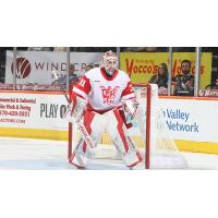 Grand Rapids Griffins goaltender Carter Gylander