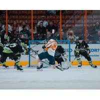 Greenville Swamp Rabbits forward Arvid Caderoth shoots against the Savannah Ghost Pirates