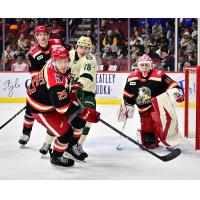 Grand Rapids Griffins goaltender Ville Husso and defenseman Brogan Rafferty